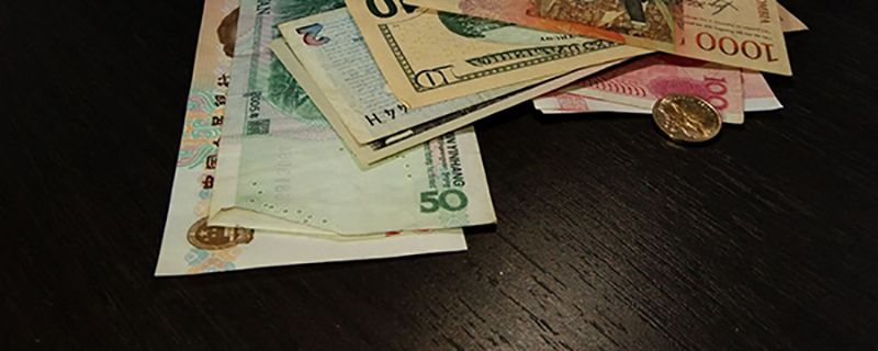 普兰金融？真相探究 金融信息技术外包的谜与人参米的类比